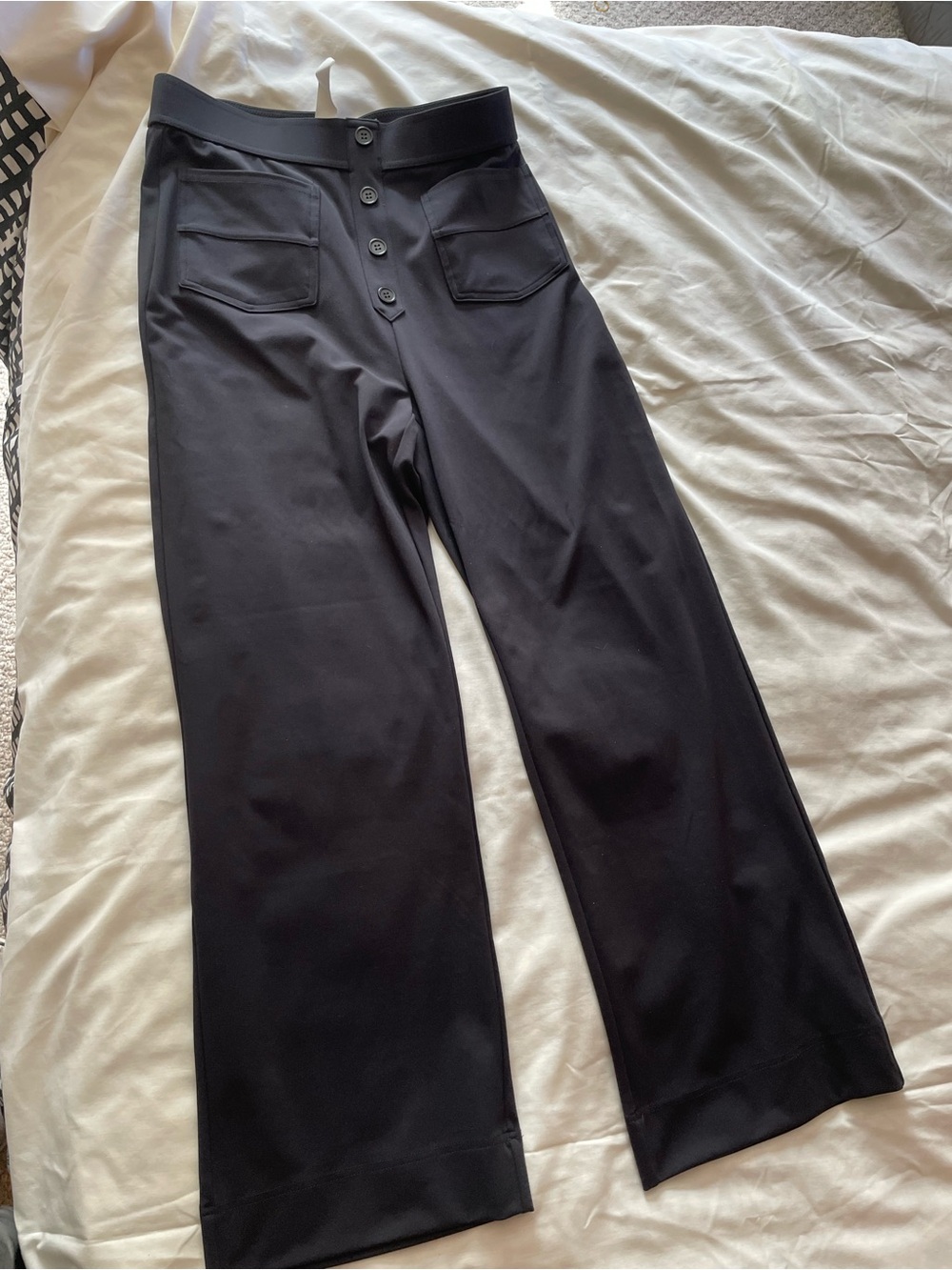 HALARA Black Wide-Leg Button-Front Pants M P
